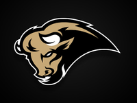 bison2_teaser