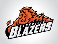 blazerslogofull_teaser