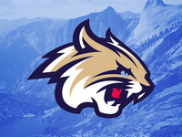 bobcats_teaser