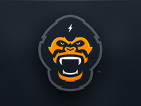 shot-35-gorilla_teaser