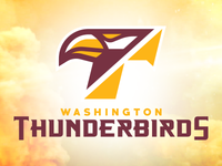 t-birds_dribbble_teaser