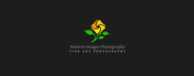 photography-logo-design (17)